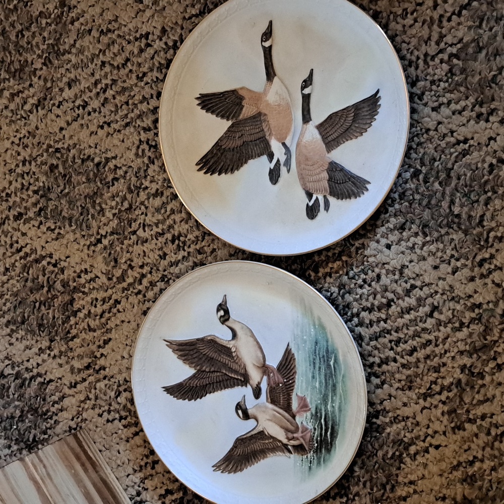 #1 Wings of Wonder collection plates. 2 plates, beautiful pieces